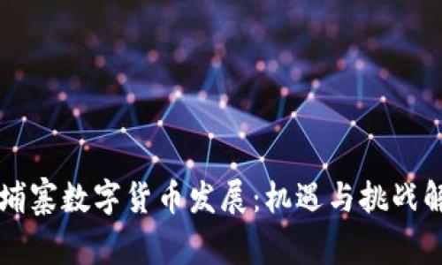 柬埔寨数字货币发展：机遇与挑战解析