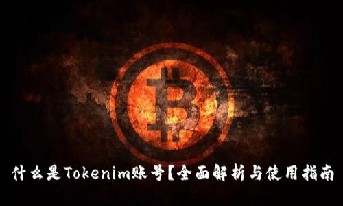 什么是Tokenim账号？全面解析与使用指南