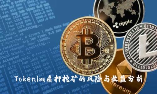 Tokenim质押挖矿的风险与收益分析