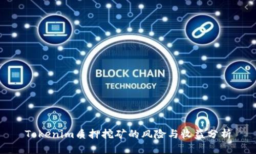 Tokenim质押挖矿的风险与收益分析